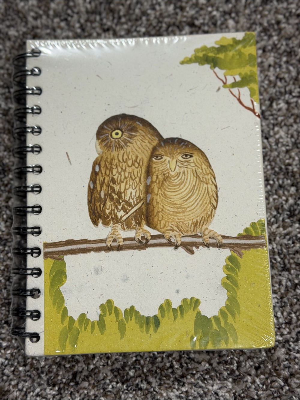 Mr. Ellie Pooh Natural Brown Owl Spiral Notebook – Pets Bird Design